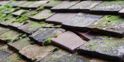 Whitminster roof repair costs